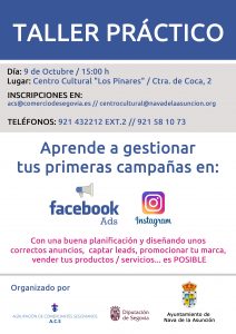 Cartel Nava de la Asunción